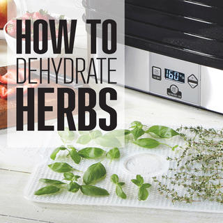 Click for How To Dehydrate Herbs